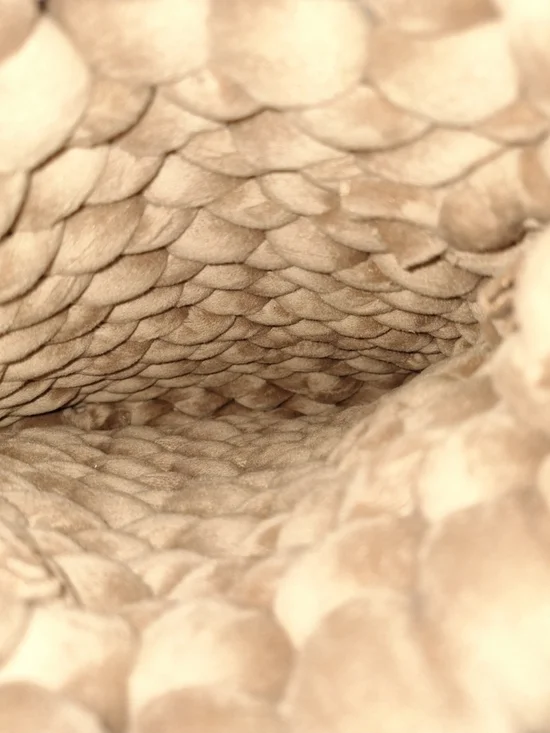 Chunky Handwoven Tan Crossbody Bag with Gold-Trim Strap - Picture 5 of 9